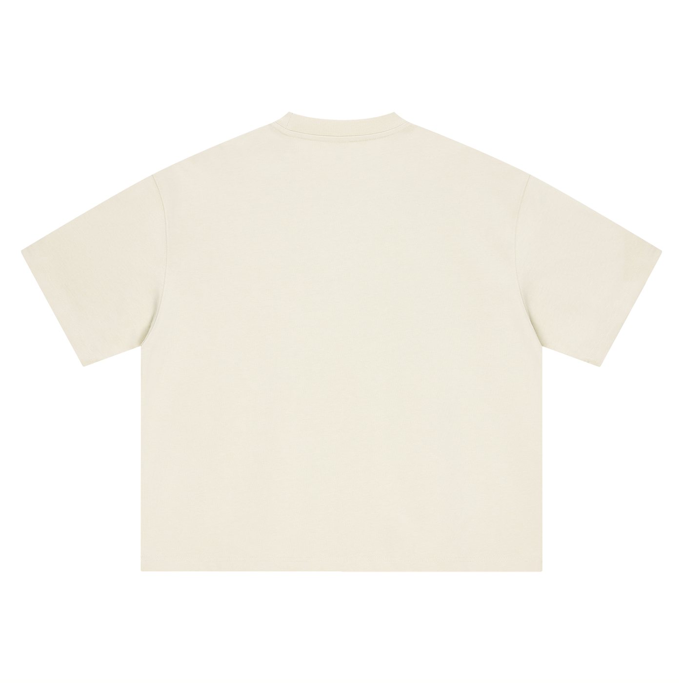 THE BESTEIGEN BOXY OVERSIZED TEE